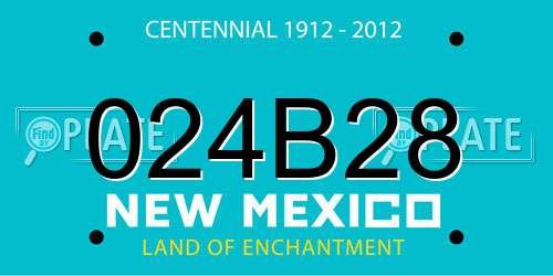 024B28 New Mexico License Plate