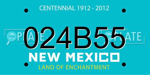 024B55 New Mexico License Plate