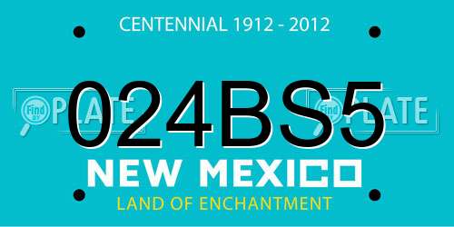 024BS5 New Mexico License Plate