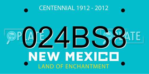 024BS8 New Mexico License Plate