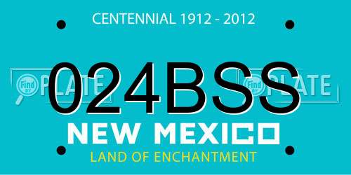 024BSS New Mexico License Plate