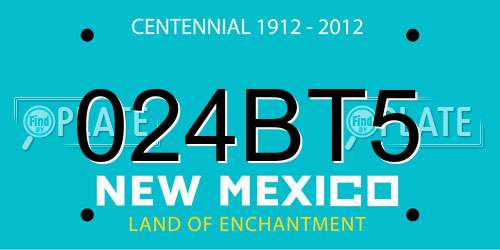 024BT5 New Mexico License Plate