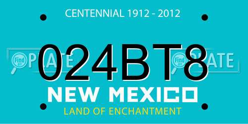024BT8 New Mexico License Plate