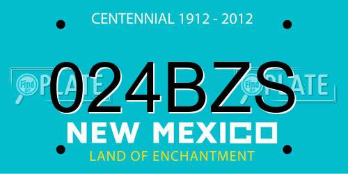 024BZS New Mexico License Plate