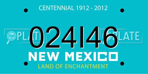 024I46 New Mexico License Plate
