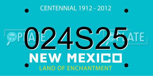 024S25 New Mexico License Plate