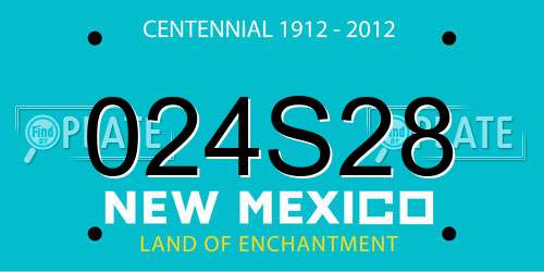 024S28 New Mexico License Plate