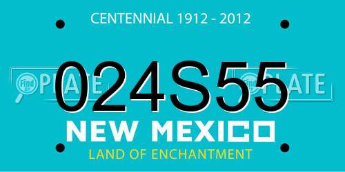 024S55 New Mexico License Plate