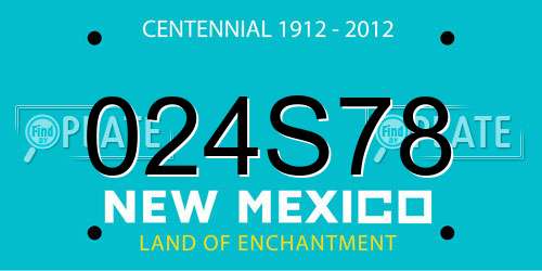 024S78 New Mexico License Plate