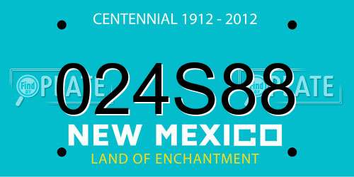024S88 New Mexico License Plate