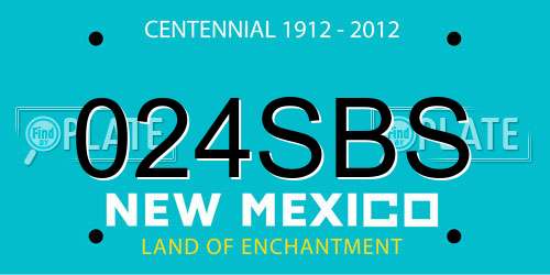 024SBS New Mexico License Plate