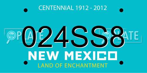 024SS8 New Mexico License Plate