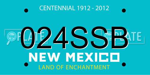 024SSB New Mexico License Plate