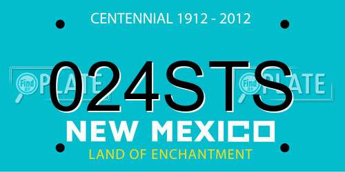 024STS New Mexico License Plate