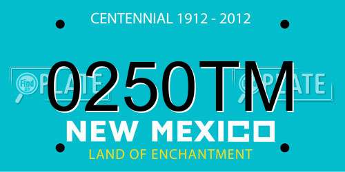 0250TM New Mexico License Plate