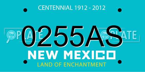 0255AS New Mexico License Plate