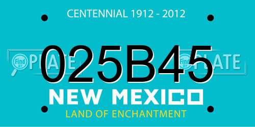 025B45 New Mexico License Plate