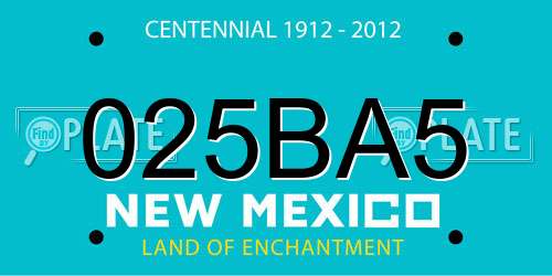 025BA5 New Mexico License Plate
