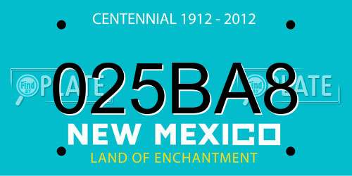025BA8 New Mexico License Plate