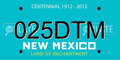 025DTM New Mexico License Plate