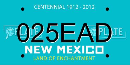 025EAD New Mexico License Plate