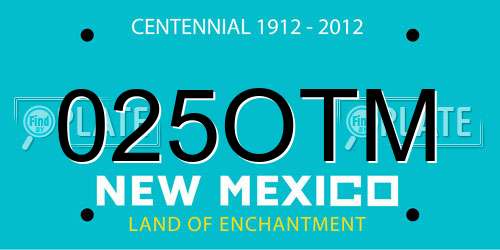 025OTM New Mexico License Plate