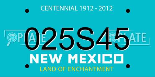 025S45 New Mexico License Plate