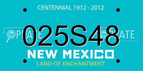 025S48 New Mexico License Plate
