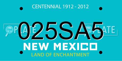 025SA5 New Mexico License Plate