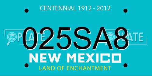 025SA8 New Mexico License Plate