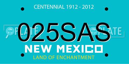 025SAS New Mexico License Plate