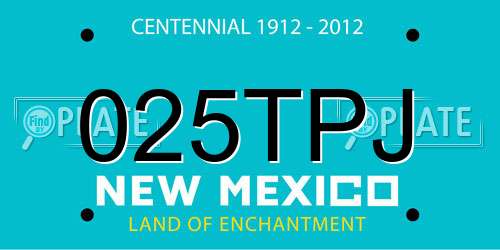 025TPJ New Mexico License Plate