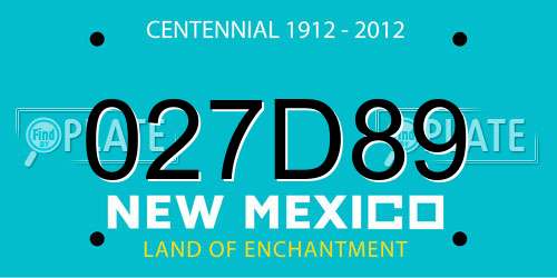 027D89 New Mexico License Plate