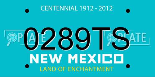 0289TS New Mexico License Plate
