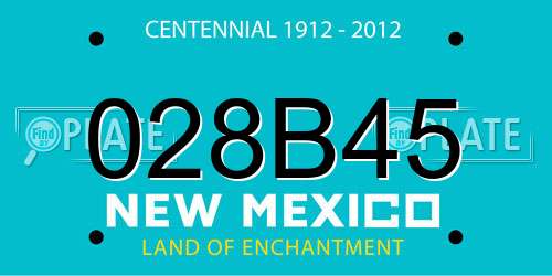 028B45 New Mexico License Plate