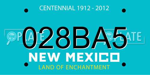 028BA5 New Mexico License Plate