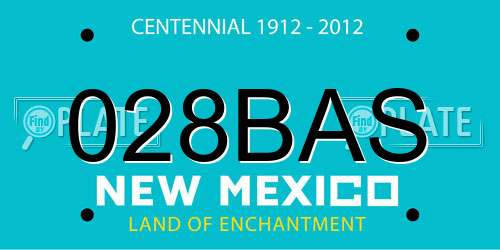 028BAS New Mexico License Plate