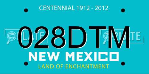 028DTM New Mexico License Plate