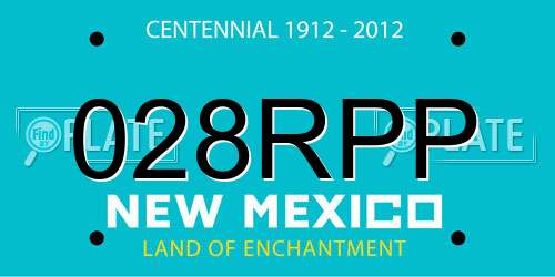 028RPP New Mexico License Plate