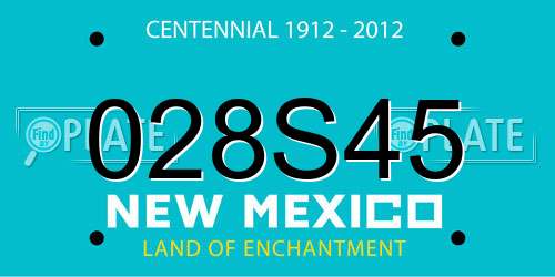 028S45 New Mexico License Plate