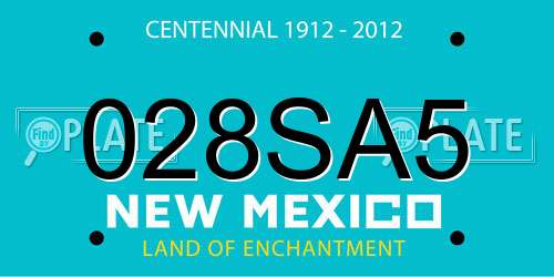 028SA5 New Mexico License Plate