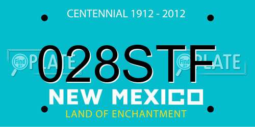 028STF New Mexico License Plate