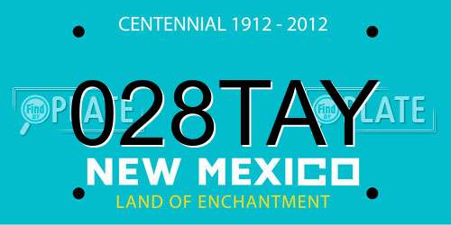 028TAY New Mexico License Plate