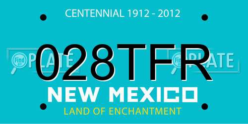028TFR New Mexico License Plate