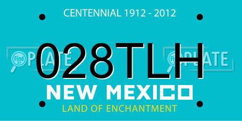 028TLH New Mexico License Plate