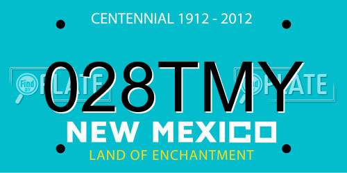 028TMY New Mexico License Plate