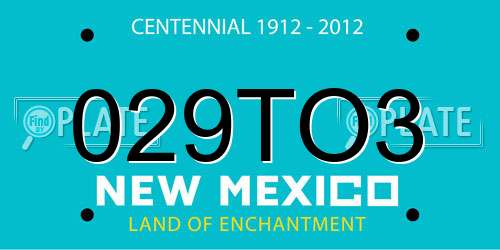 029TO3 New Mexico License Plate