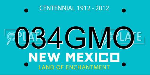 034GMO New Mexico License Plate