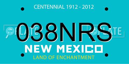 038NRS New Mexico License Plate