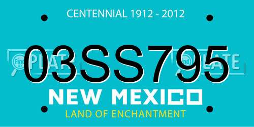 03SS795 New Mexico License Plate